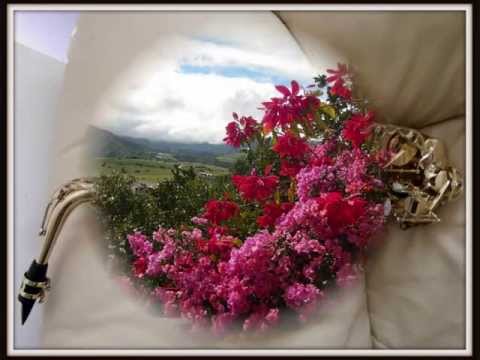 I just call to say I love you - Saxophone alto