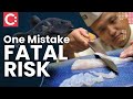 Fugu: The World’s Most Dangerous Delicacy