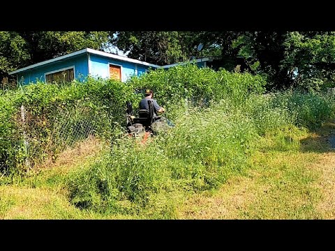 I gave this ABANDONED house a FREE makeover |TIME-LAPES OF THE CRAZY YARD CLEAN UP
