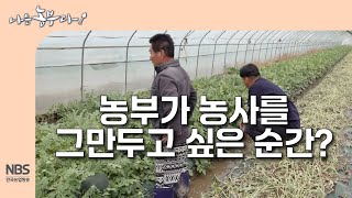 [나는농부다 303회] 농부가 농사를 그만두고 싶은 순간?