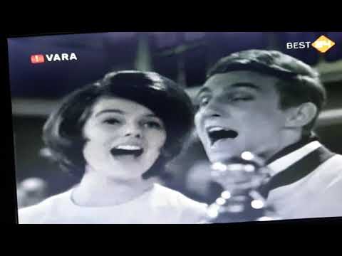 The Luckberries - Hocus Pokus