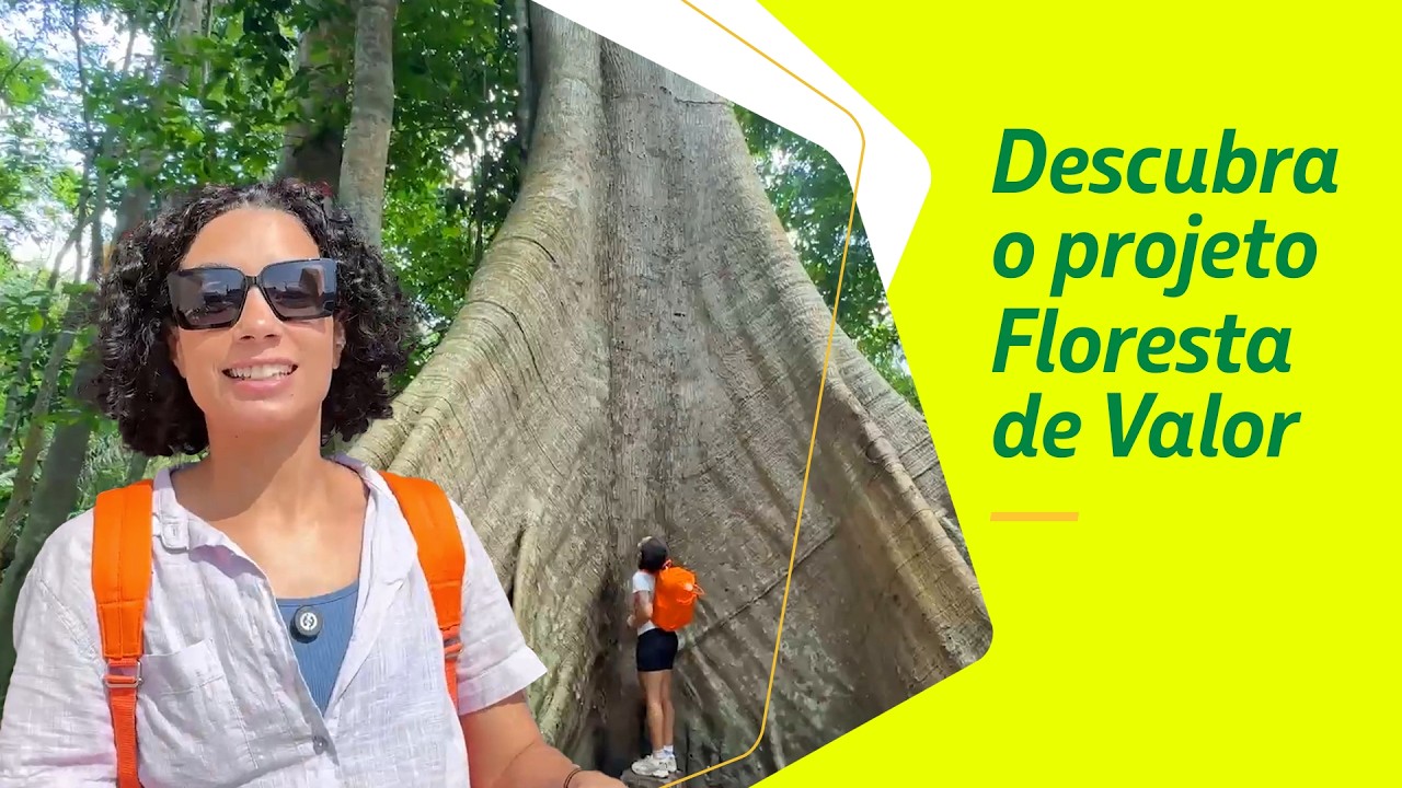 A Mochileira está na Floresta Amazônica? | Mochileiras