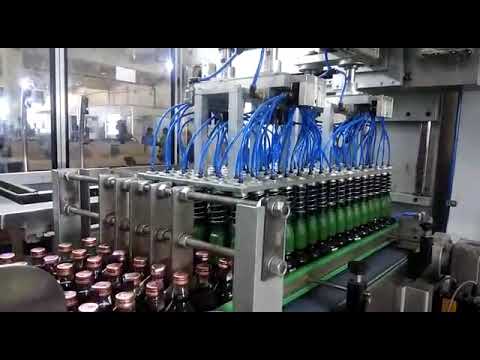 Automatic Case Packer Machine