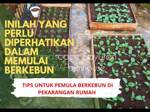 , title : 'BERKEBUN DI PEKARANGAN RUMAH || INILAH HAL YANG HARUS DIPERHATIKAN DALAM MEMULAI BERKEBUN'