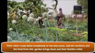 Vegetable garden brings relief to drought affected families in Mali.mp4