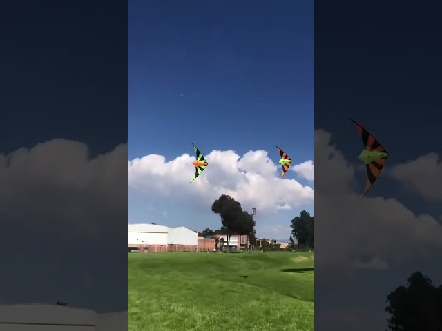 Vídeo relacionado con Touch the sky Cometa de Abeja de Dibujos Animados para Adultos,Fácil de Volar,Diseño de Estructura Único,Excelentes Juegos al Aire Libre y Juguetes de Actividades,Adecuado para Principiantes.