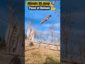 How This Belgian Malinois Police Dog Mastered the Ultimate High Jump (Part 3)