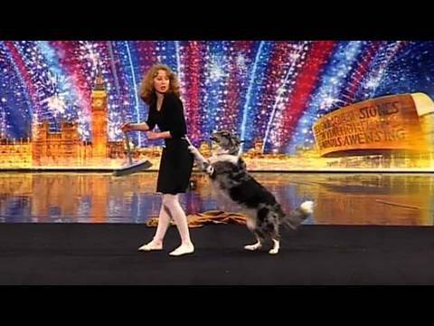 天才狗边扫地边跳芭蕾(视频)