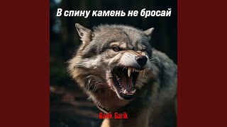 В спину камень не бросай