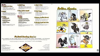 The David Bromberg Band - Medley: Battle Of Bull Run, Paddy On The Turnpike, Rover's Fancy