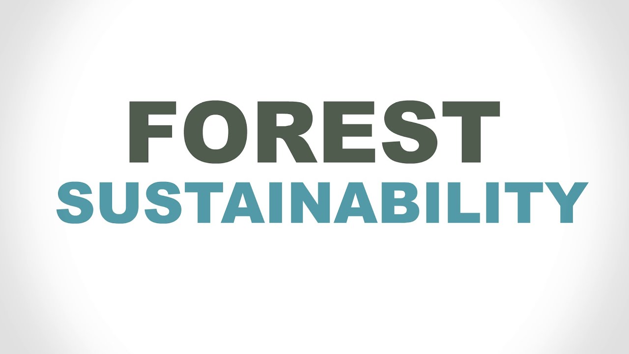Forest Fast Break: Forest Sustainability
