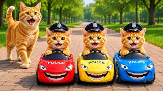 Download lagu Mama Cat Trims Fur on the Farm and Makes Tiger Hat For Kittens At Home🐾🎩🐯 mp3 Download lagu Mama Cat Trims Fur on the Farm and Makes Tiger Hat For Kittens At Home🐾🎩🐯 mp3