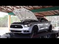 Dyno Roush Mustang