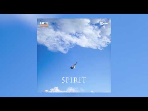 PLEEG - Spirit