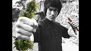 Kush Hour TV X Bruce Lee "WHEN YOU JUST HIT THAT LOUD AND YOU DECIDED THAT YOU WERE GOING TO ST