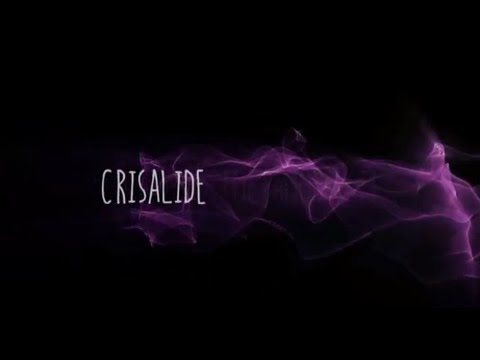 Volperossa - Crisalide (Metamorfosi)