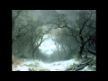 Franz Schubert "Winterreise" ~ Wasserflut
