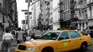 The WiLDHEARTS - You took the sunshine from New York
