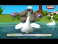 Swan Bird Nursery Rhyme Bird Rhymes Nursery Rhymes For Kids Nursery Rhymes 3D Animation