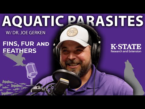 Tongue-Eating Parasites!? | Fins, Fur, and Feathers Episode 45 - Aquatic Parasites