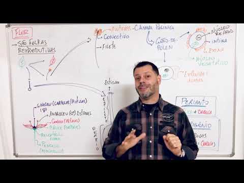 Biologia Livre - Botânica: Organologia (flor).