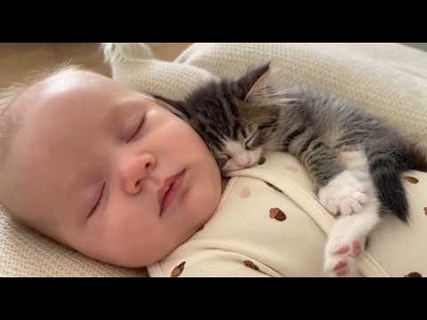 YouTube 썸네일