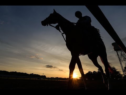 Why horses are dying at U.S. racetracks at an alarming rate