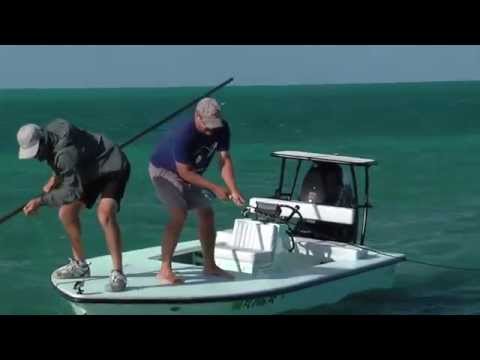 Silver Kings Season 1: Episode 3 "The Great Clear Line Debate"