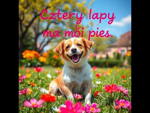 Cztery łapy ma mój pies – Piosenka dla dzieci, rymowanki i tańce | Pieski i zabawa