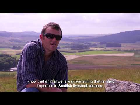 Farming Foodsteps On Farm Video Series: Glenkilrie Farm Episode 2