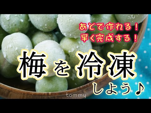 梅の冷凍:とても簡単です ライフスタイル