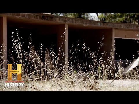 Life After People: MASSIVE FLOODS After Human Extinction (Season 1) | History