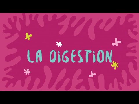 SCOOPY, EN DIRECT DU CORPS HUMAIN : La digestion