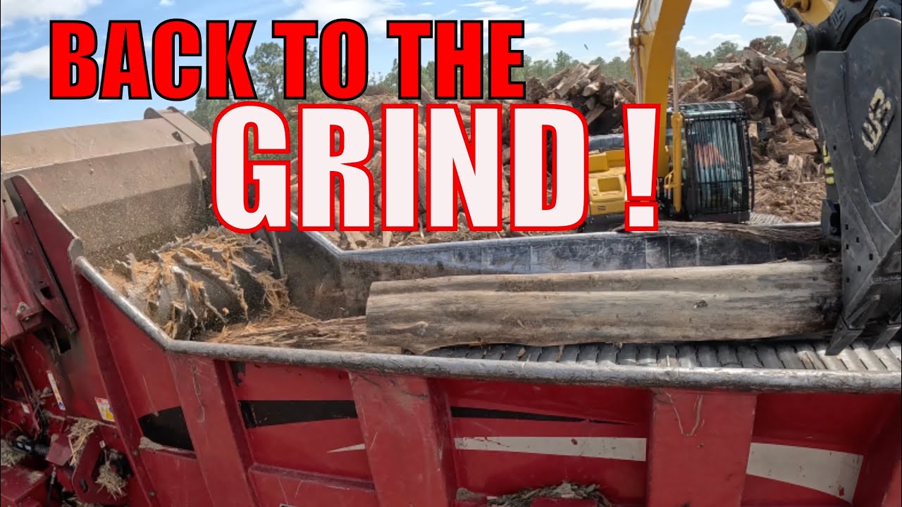 Back to the GRIND with the Wood Shredder + Wasp Attack!