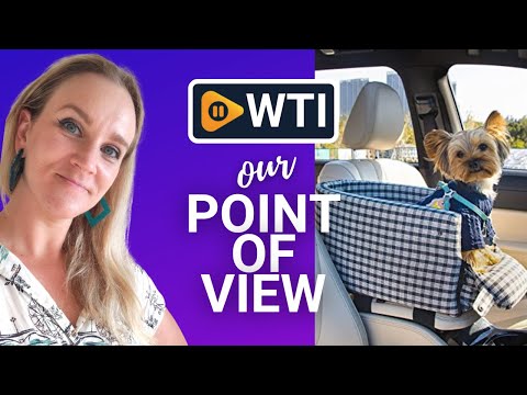 DOTOUUD Dog Car Booster Seats - WTI product video review