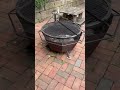 Mixed Breed dogs for sale: Lulu - Video 1