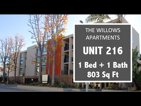 The Willows Apartments  |  Unit 216  |  1 Bed + 1 Bath  |  803 Sq ft