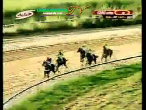 VALENCIA 8 CARRERA VIERNES 19 DE SEPTIEMBRE DEL 2014