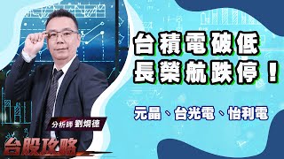 台積電破低、長榮航跌停！元晶、台光電、怡利電！ (圖)