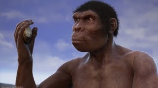 Evolution from ape to man From Proconsul to Homo heidelbergensis Mp4 3GP & Mp3