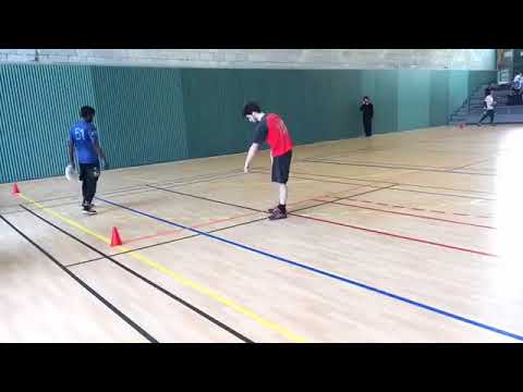 D3 indoor 2016/2017 - 1/2 Finale - Frog - Friselis