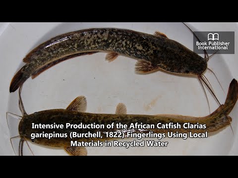 Clarias gariepinus helmint parazitái