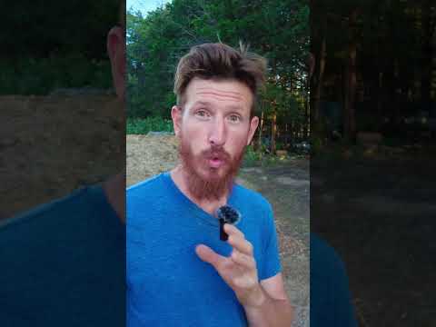 Where Does Heavy Cream Come From?  Dairy Process Explained #farming #homesteading #homesteadcooking