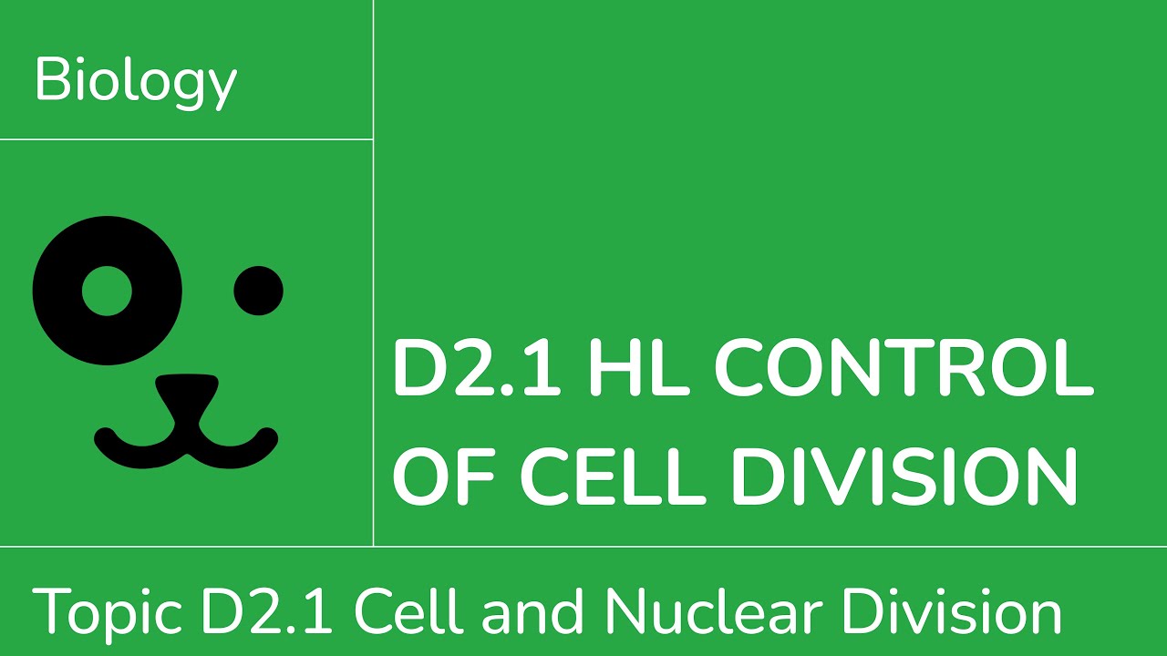 D2.1 HL Control of Cell Division [IB Biology HL]