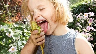 Project Wild Thing - San Francisco Green Film Festival