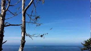 Swiftumz- Day We Met