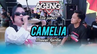 Download lagu CAM IZUL - CAMELIA - MAWAR APRILIA AGENG MUSIC LIVE POBERS BANYUWANGI #agengmusic  mp3