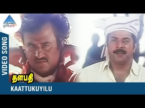 Rajinikanth Song | Kaattukuyilu Video Song | Thalapathi | Mammootty | Yesudas | SPB | Ilayaraja