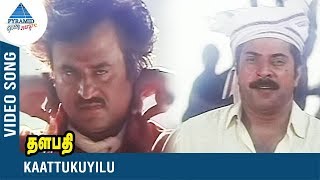 Rajinikanth Song  Kaattukuyilu Video Song  Thalapa