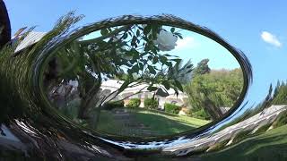 Nana Mouskouri, 2fold, Roses Blanches de Corfou, Lyrics below